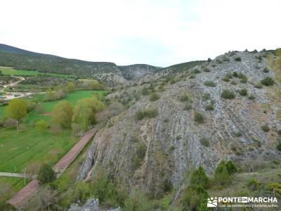 Yacimiento Clunia Sulpicia - Desfiladero de Yecla - Monasterio Santo Domingo de Silos - Sierra de la